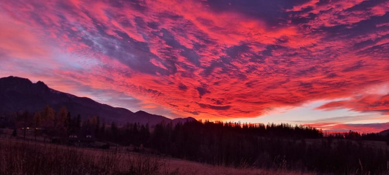 Apartament Zubry Z Sauna Zakopane Eksteriør billede